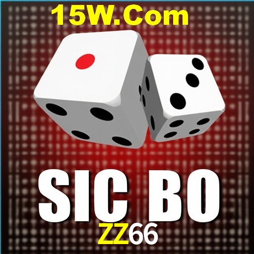 ZZ66 Brasília - VIP Program